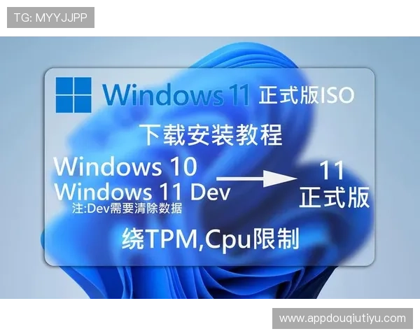 斗球极速版电脑版怎么下载最新版本下载安装教程及常见问题解答