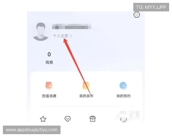 无需担心，教你轻松在电脑上下载安装斗球app的详细操作步骤