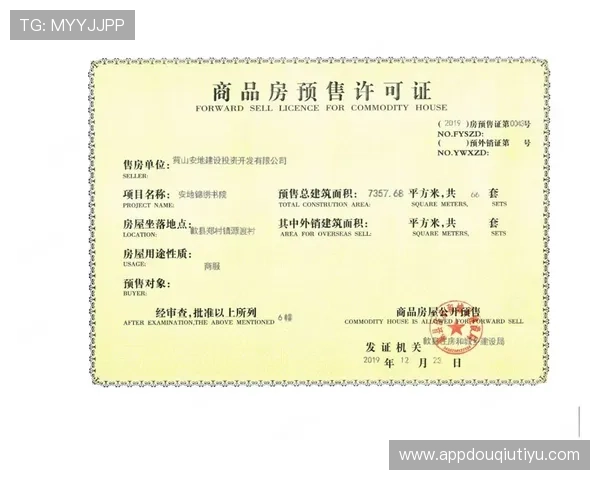 如何安全稳定地进行斗球vip下载安装，避免常见问题和保障账号安全的实用技巧
